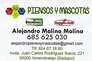 Imagen